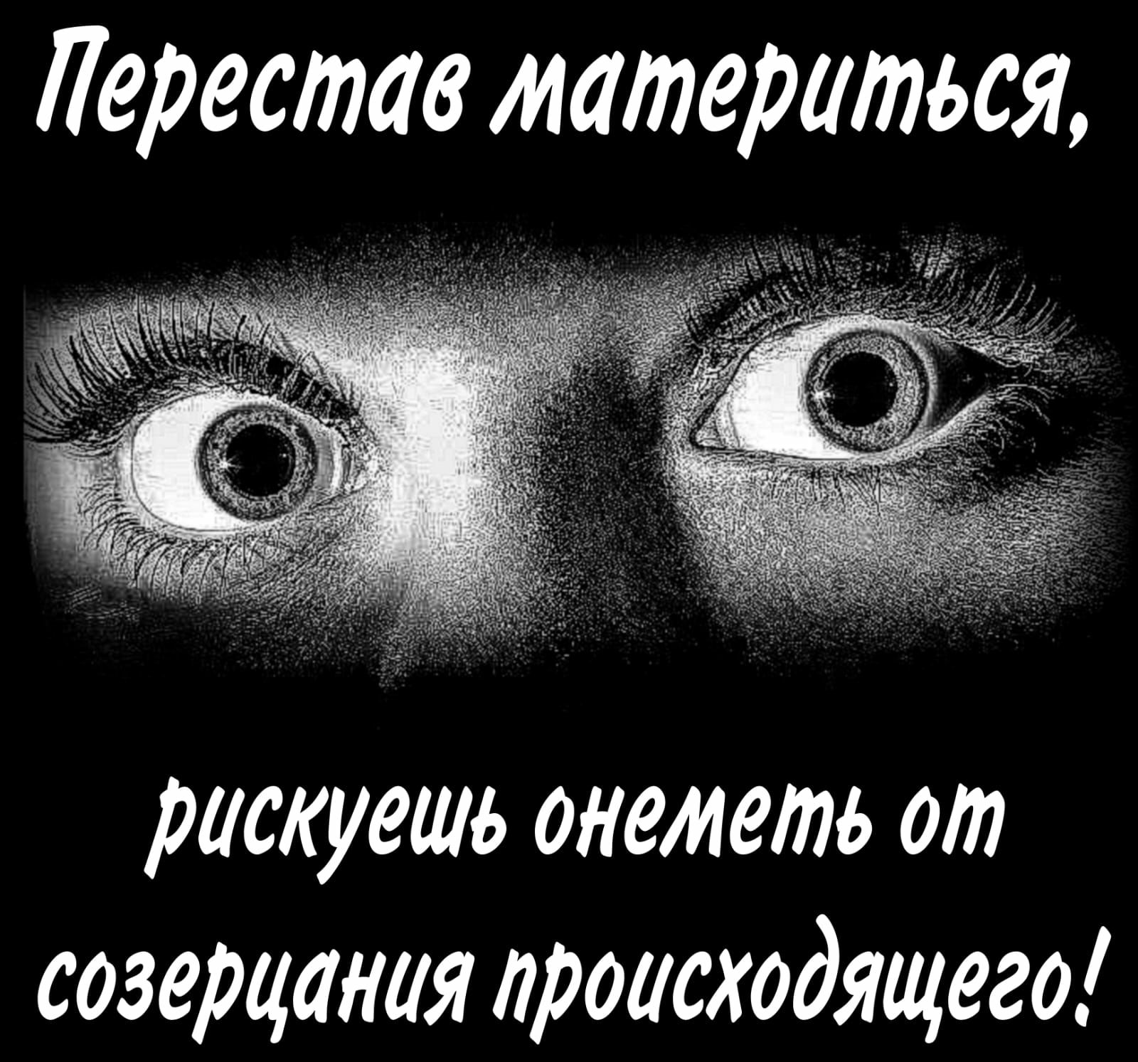 Перестов материться рискуешь онеметь от созерцания происходящего