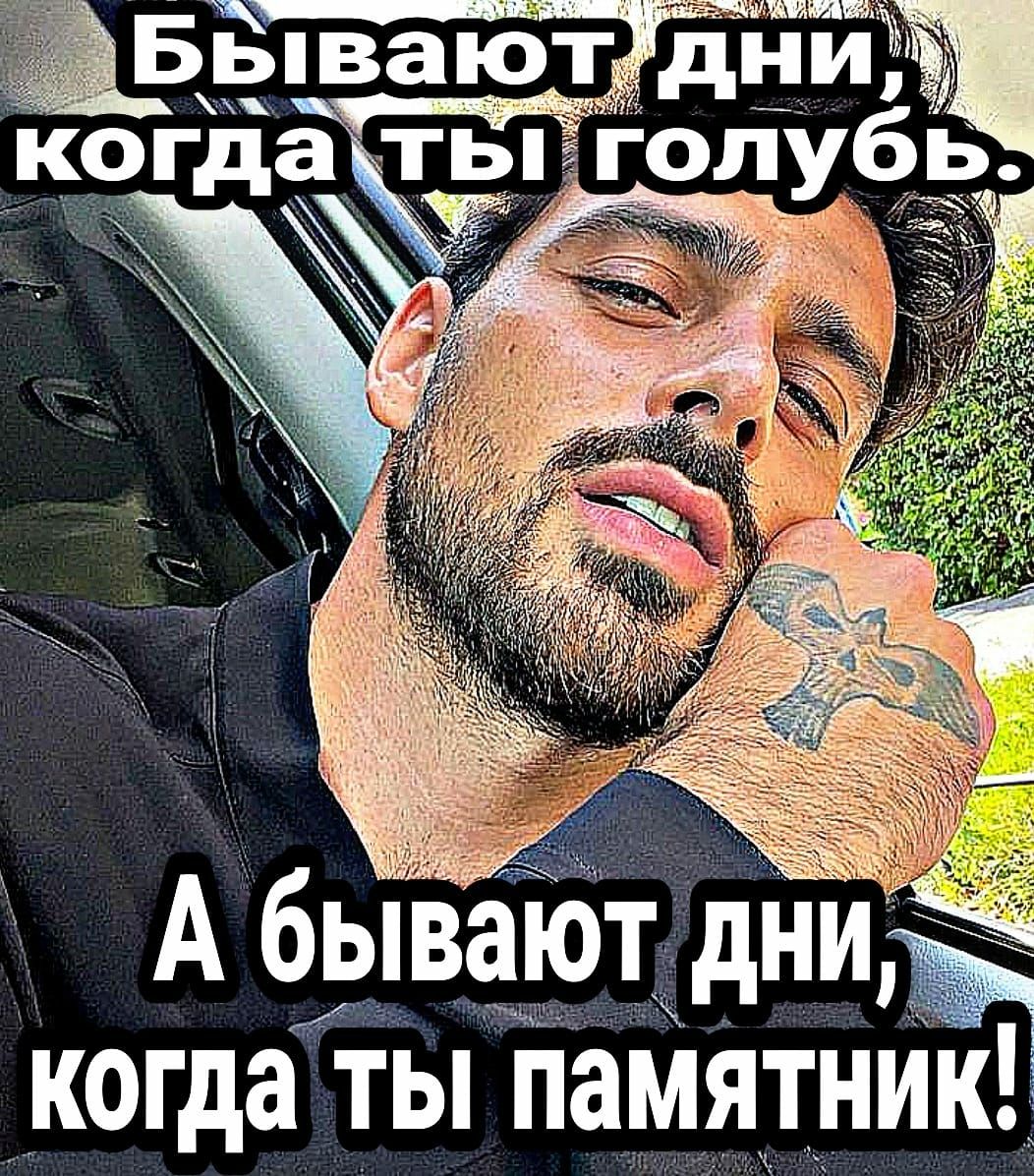з вают днй когда ты голубь і _ А бдвают дни когда ты памятник