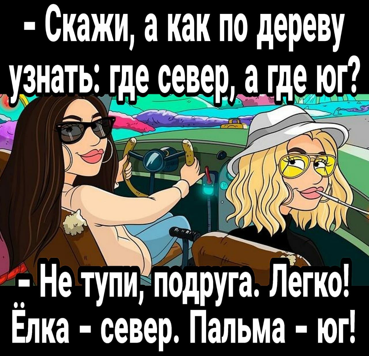 Скажи а как по дереву узнать где север3_где юг м _ Не тупи пздіугпёіко Елка север Пальма юг