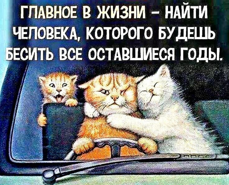 ГЛАВНОЕ В ЖИЗНИ НАЙТИ ЧЕЛОВЕКА КОТОРОГО БУДЕШЬ ЕСИТЬ ВСЕ ОСТАВШИЕОЯ ГОДЫ