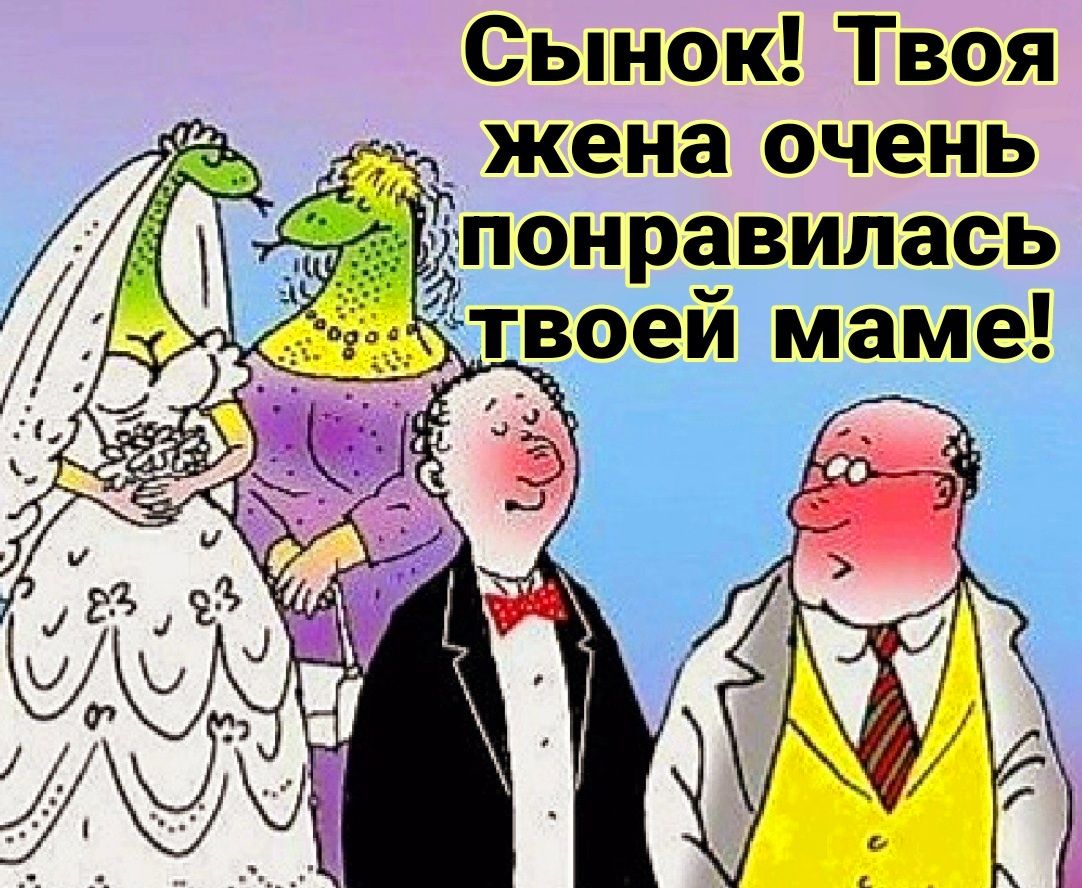 Сынок Твоя жена очень