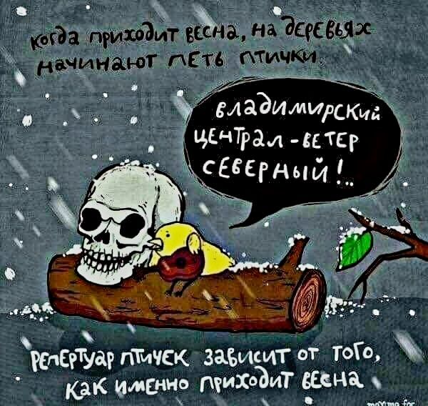 _ М991тп4рсь чічтралсстсг _ СЕСЕгнмй _ 9 _ ду _уд кпсгтуагптичск заъищт от ТОГО как ЮЛЕНН тикаВит ванн