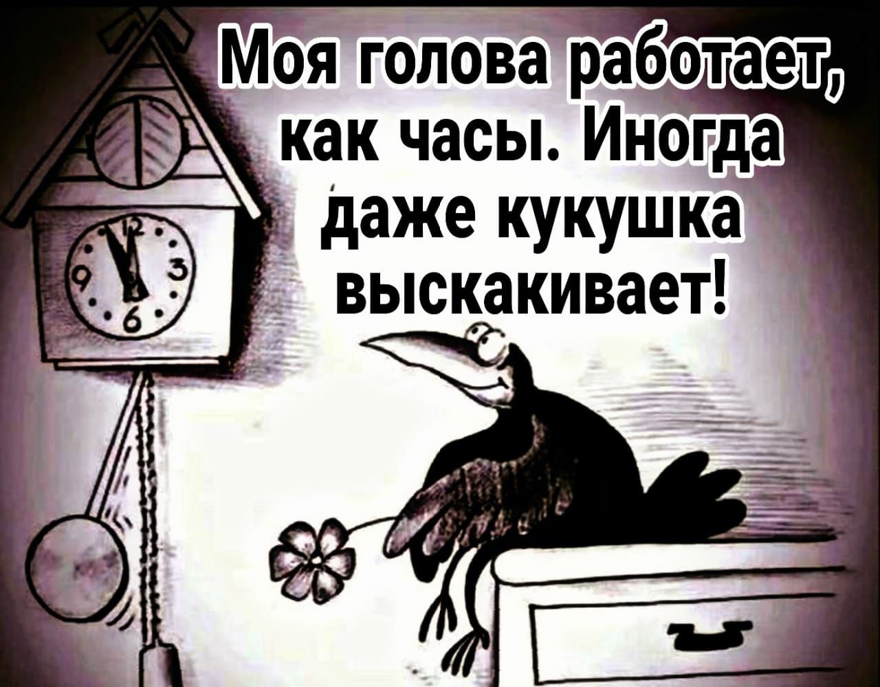даже кукушка выскакивает