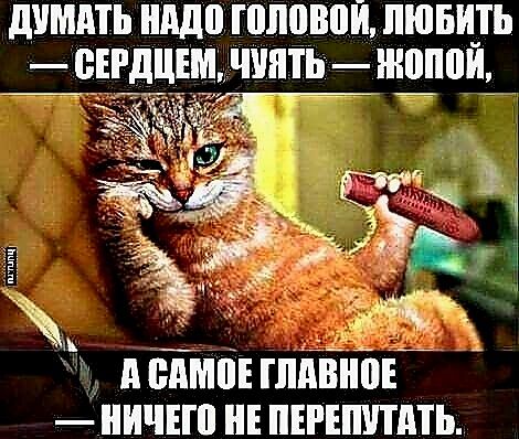 ШММЬ нддо головой ШШШ ЦЕРДЦЕМ ЧШПЪ ШЕПЩ дпімпнпдіиіп ничнп НЕ пшпшть