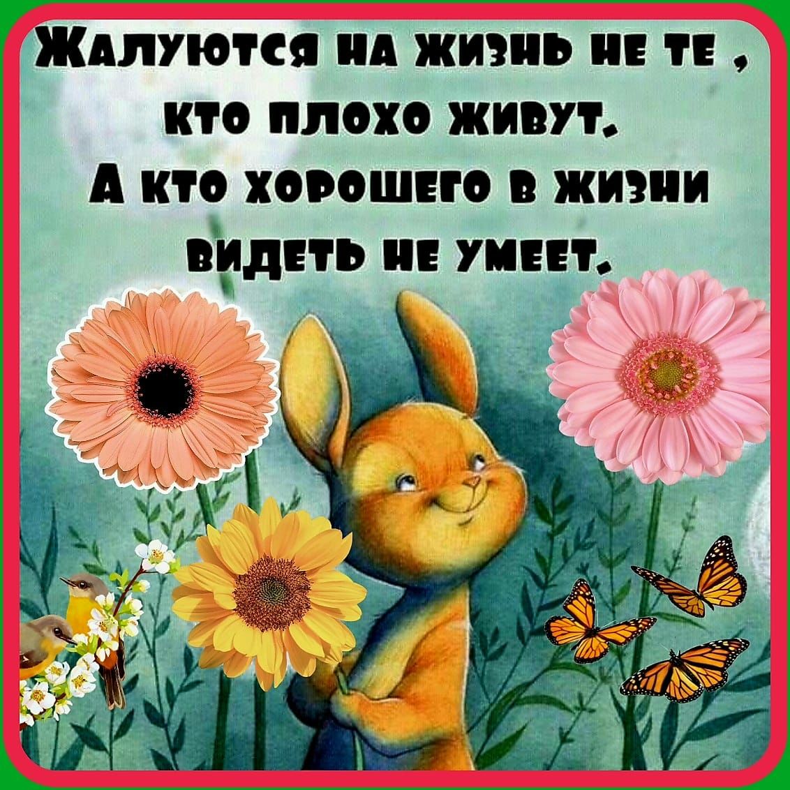 АЛЛО А жизнь КТО ПЛОХО ЖИВУТ А КТО ХОООШЕЕО О ЖИ