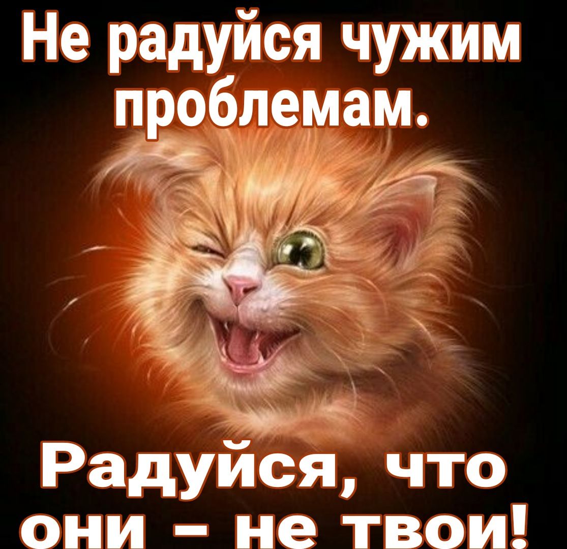 Не радуйся чужим проблемам 1 вс 13 4 Радуйся что они не твои
