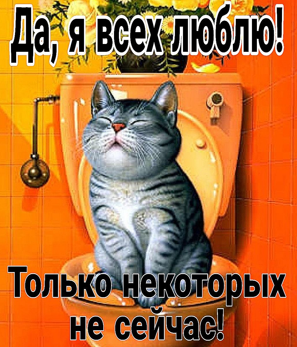 все оплчасП