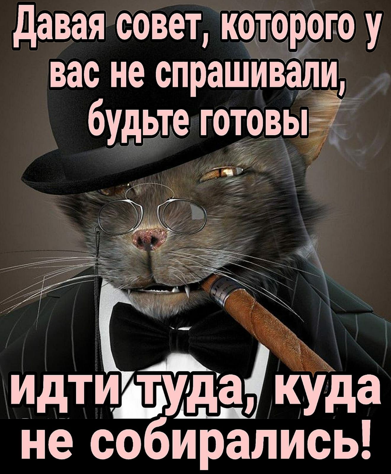 давая совет котового у вас не спрашивали бУдЬТе ЖготовыЁ ИДТЦЧ Щі Куда не бирапись