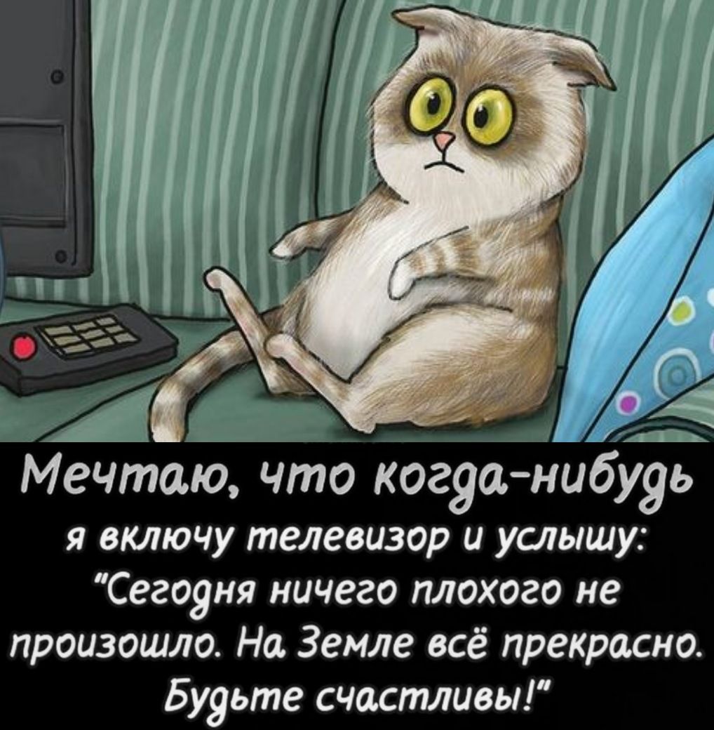 Мечтаю что когданибудь я включу телевизор и услышу Сеговия ничего плохого не произошло На Земле всё прекрасно Будьте счастливы