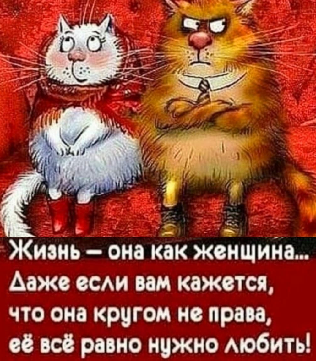 Жизнь она как женщийа Ааже всАи вам кажется что она крцгом не права её все равно нцжно мобить