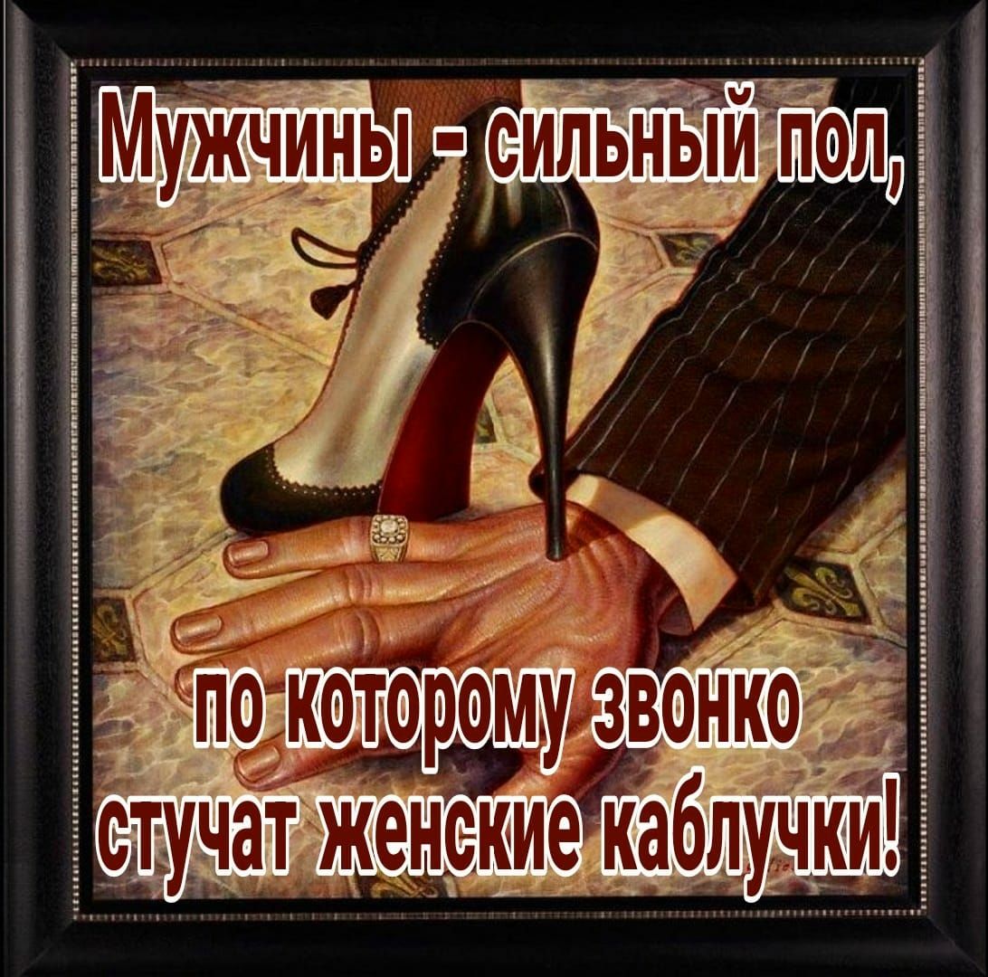 _ покбторомузвонк Ёблучк