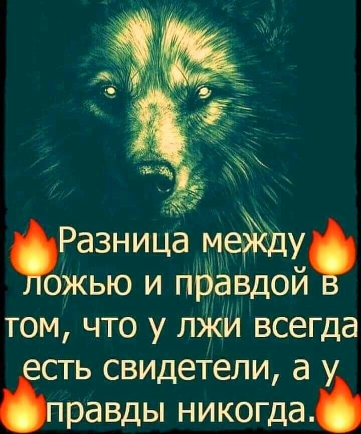 дхх _ Разница мейёду Щу ожью и пд гзвдой том что у лЖй всегда сть свидетели а У равды никогда