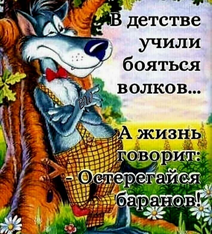 Е детстве учили бояться волков Ё _ _ А Еъіі ЙОГЭ в ГЗ5