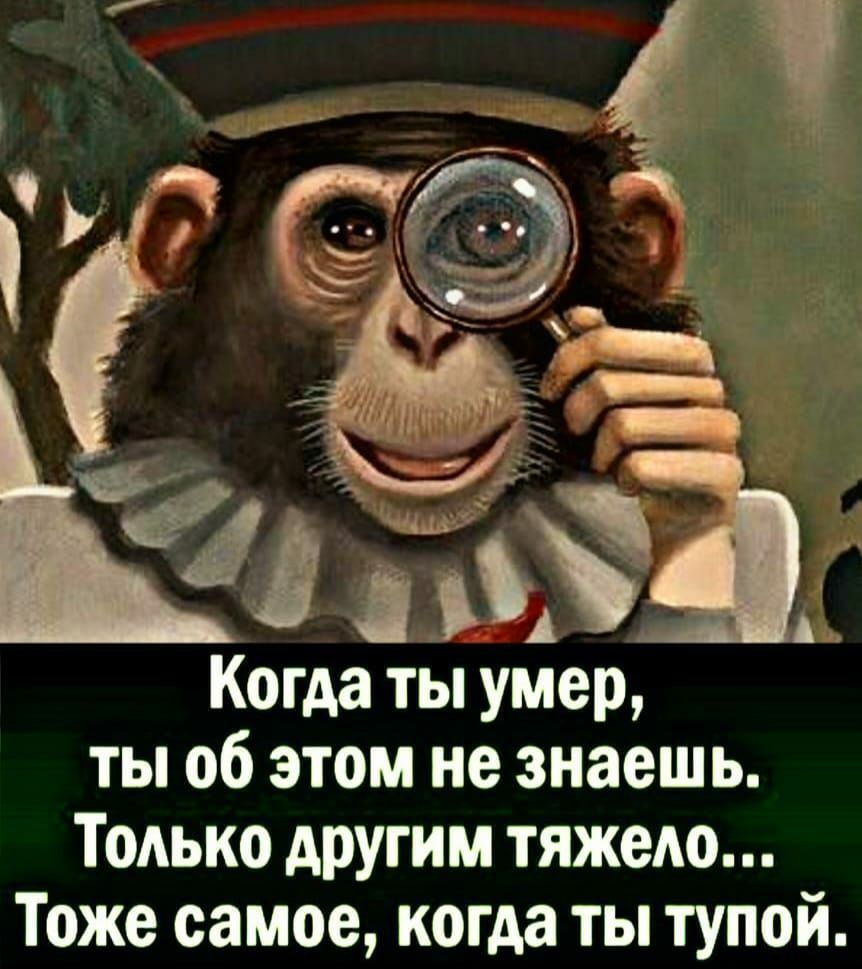 Когда ты умер ты об этом не знаешь Только другим тяжедо Тоже самое когда ты тупой