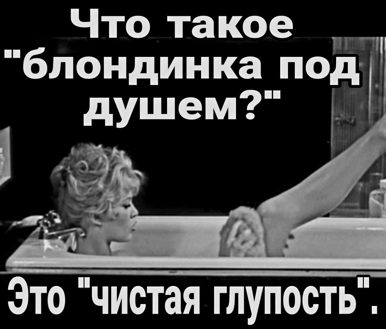 Что такое блондинка под Это чистая глупость