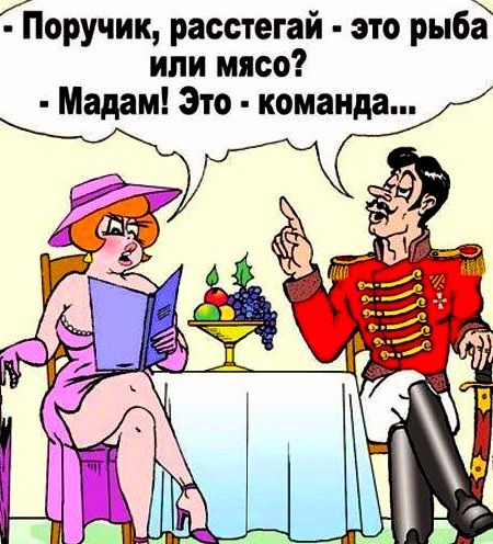 Поручик расстегай это рыбЁ или мясо Мадам Зто команда