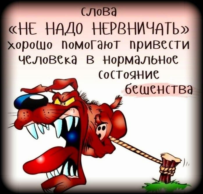 о НЕ НАДО НЕРВНИЧАТЬ ороШо ПомоГЭюТ приВЫТИ ЧЕЛОВЕК В НорМЗЛЬНое 0Т09НИС бешенства