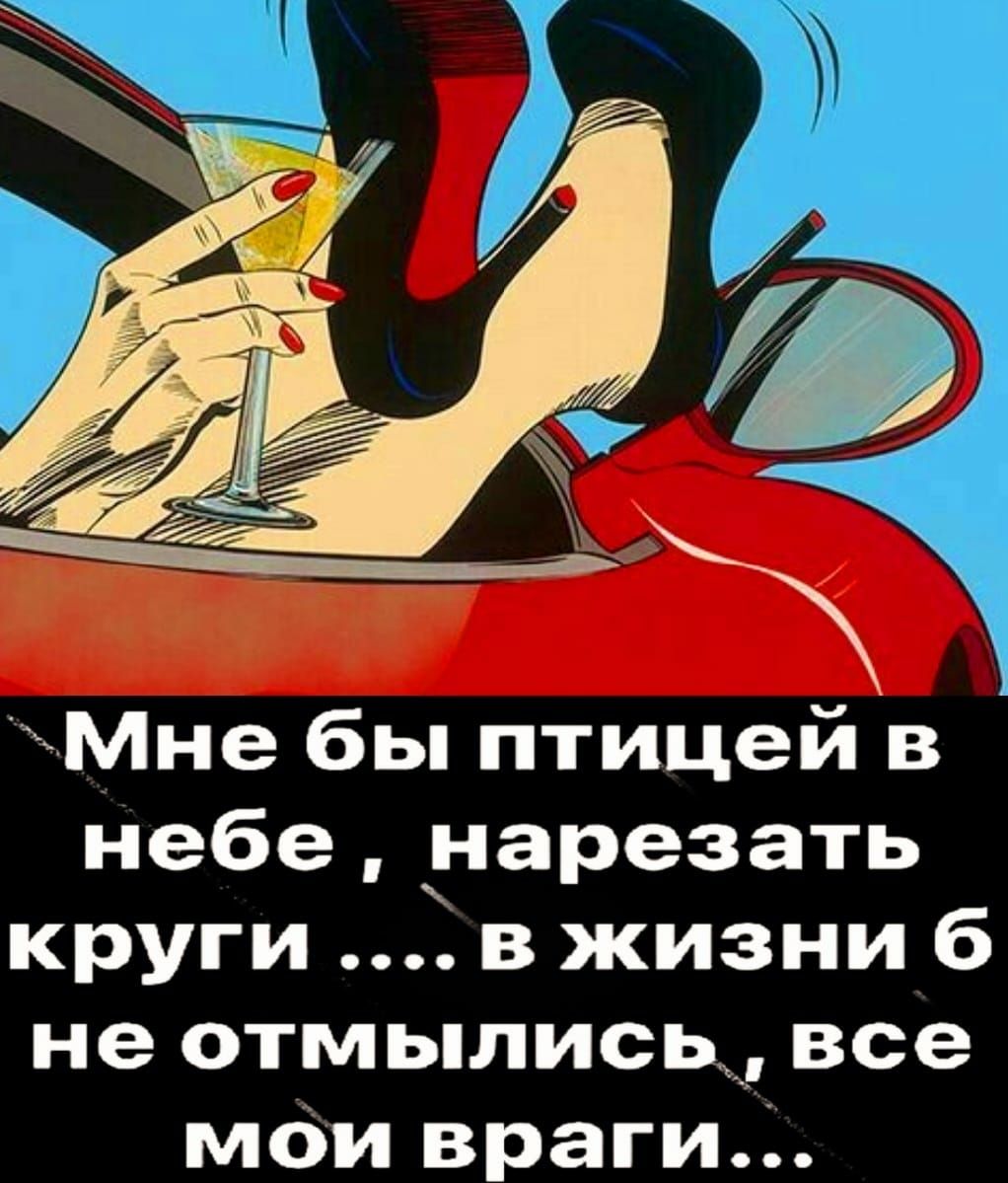 Мие бы птицей в небе уарезать круги в жизни 6 не отмылись__ все маи враги