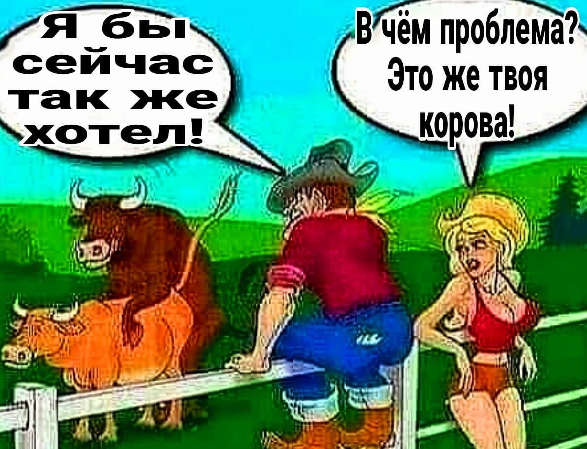 В чм проблема Это же твоя корова