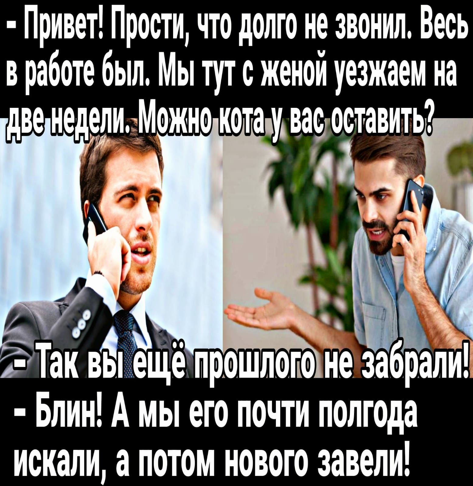 Привет Прости что долго не звонил Весь в работе был Мы тут с женой уезжаем на две недедиМожно кота у ваооставить М _ _ Так вы ещё прошлого не забрали Блин А мы его почти полгода искали а потом нового завели