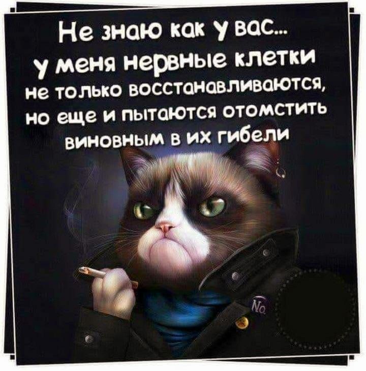 Не знаю как у вас у меня нервные клетки не только ВОССТОИОВЛИВШОТСЯ но еще и пытаются отомстить виновным в их гибеди