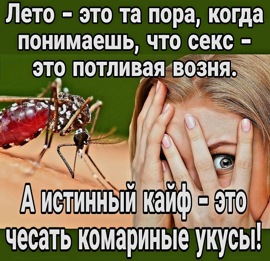 Лето это та пора когда понимаешь что секс