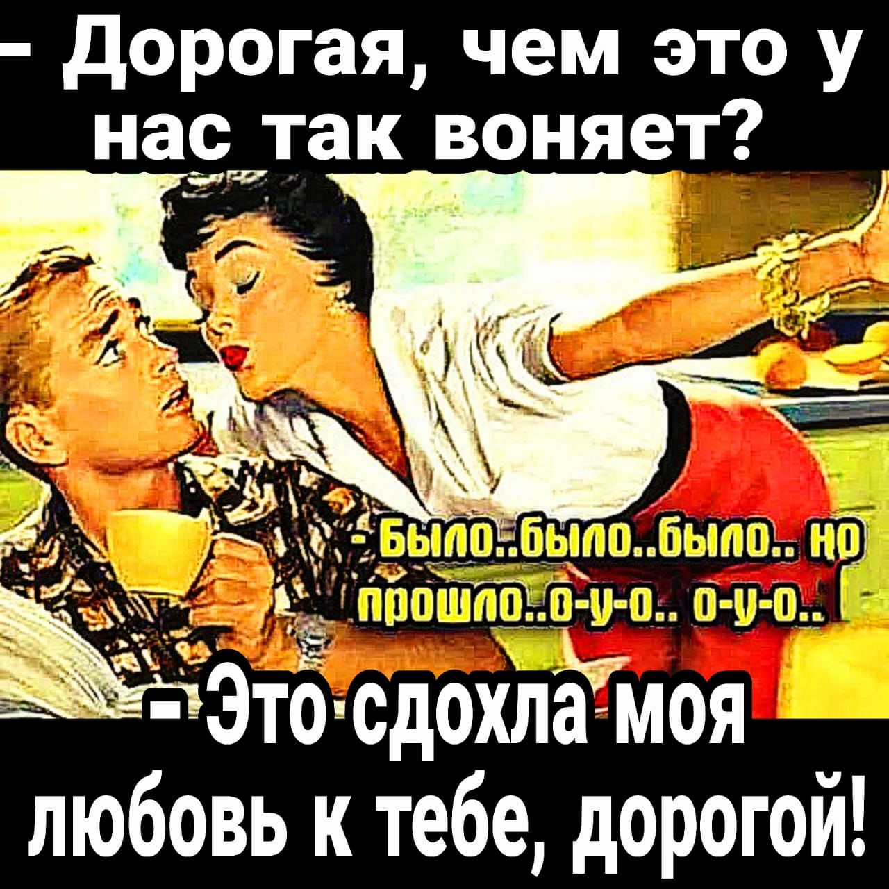 дорогая чем это у насртак воняет 73то сдохл5моя любовь к тебе дорогой