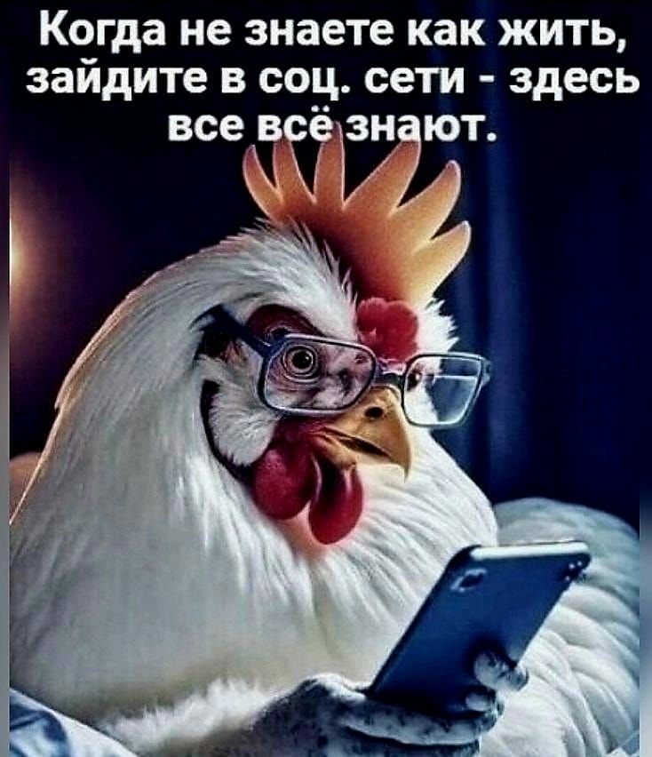 Когда не знаете как жить зайдите в соц сети здесь все йе ют