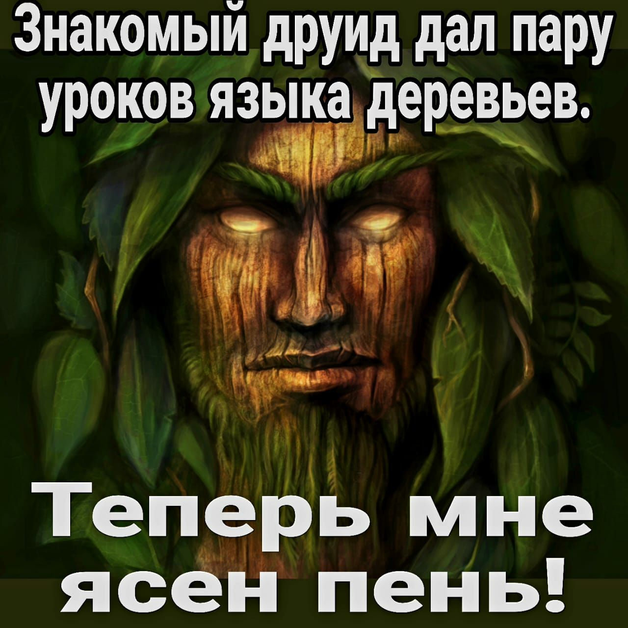 Знакомый друид дал пару уроков язёдеревзев д Теп9рь мне ясёі і пень