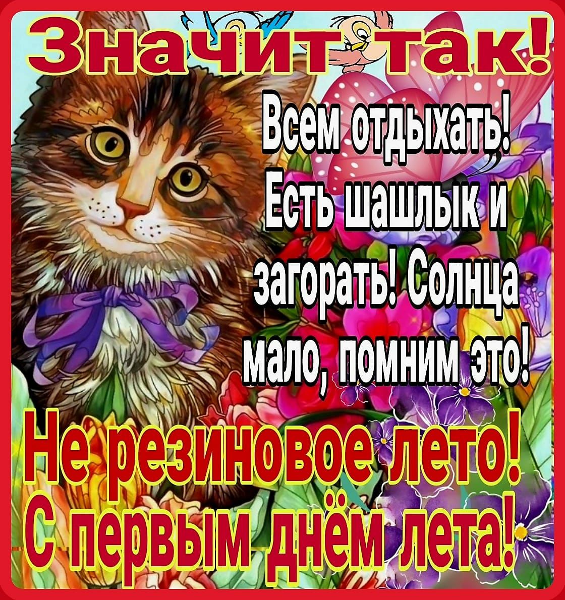 СУ Ё стьтшашлыки ттткіу загорать Солтща мало помнищіто _