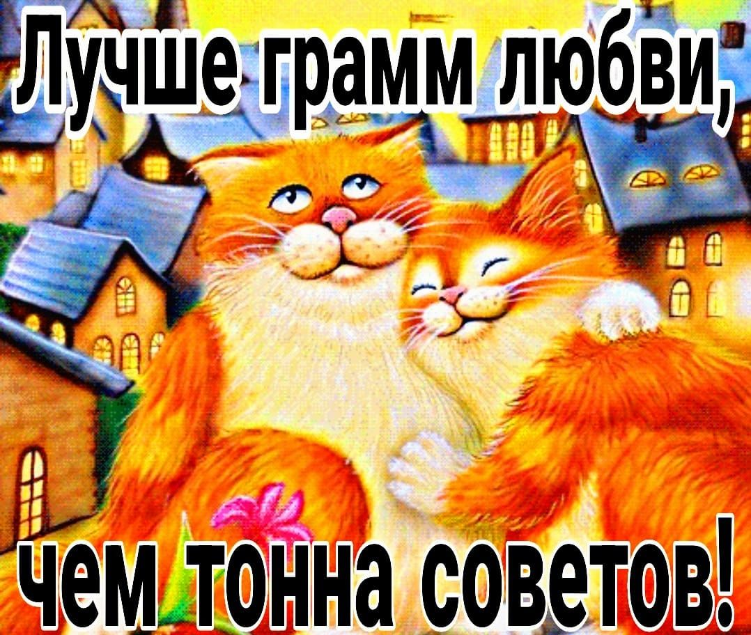 Ш чемтонна советов