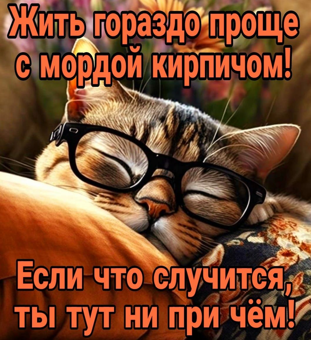 о Е Ч щта ты тут пигов ч