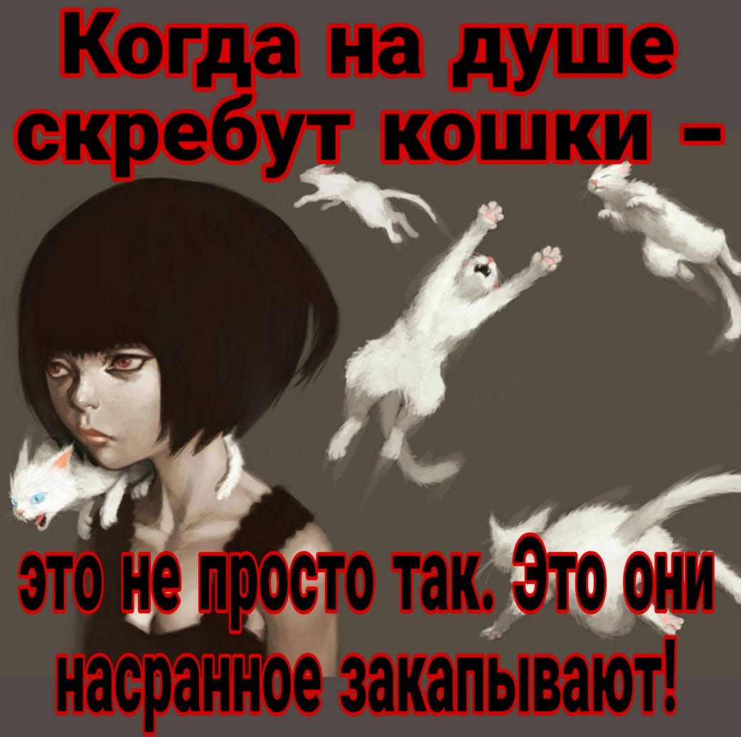 кошки 3 _ Ёт Ц іі васід Ковда ЦЕ скребут