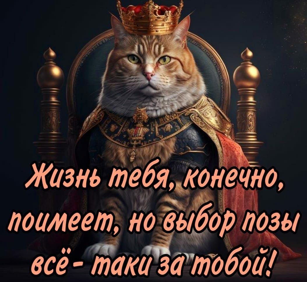Жизнь тебя кита поамеет но выбор туды всё таки за тобой