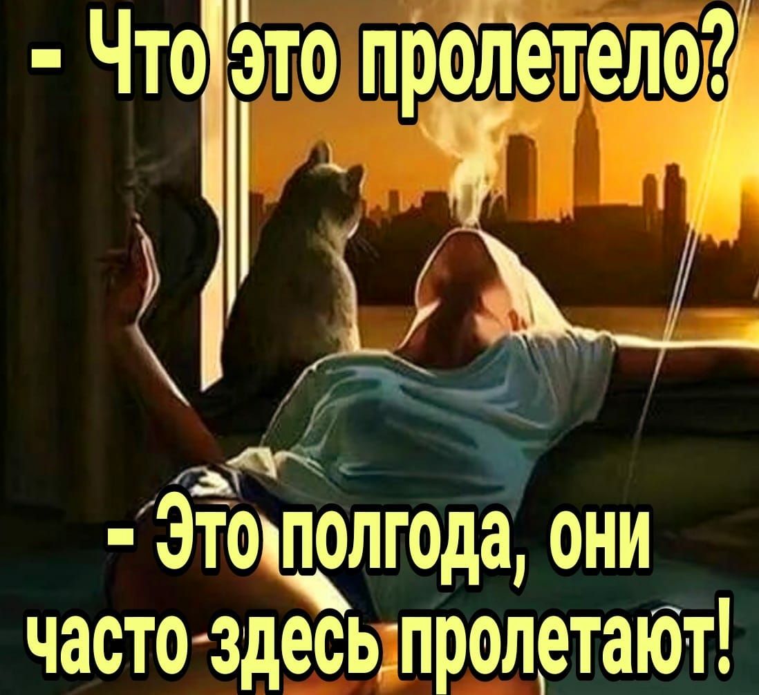 Чтоё мт Этолгода они часто здесьшролртаібт топротетёлт 1 д_ Р