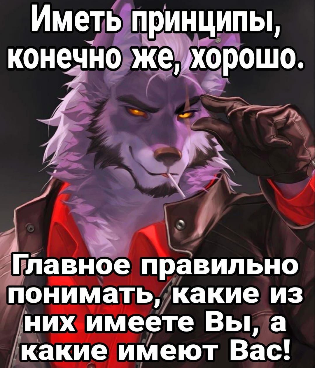 Иметь принципы конечно Йдхорошо ё 13 Гітавное правильно понимать какие из них имеете Вы а какие имеют Вас