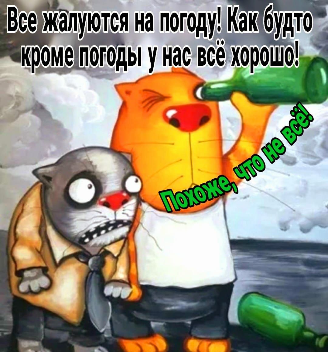 Вее жайуются на погоду Как будто ршромеЁптды у насвбех6рщошоі _