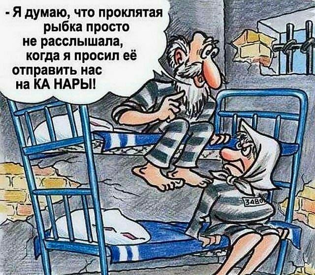 Я думаю что проклятая рыбка ирис го не расслышала когда и просил её отправить нас на КА НАРЫ