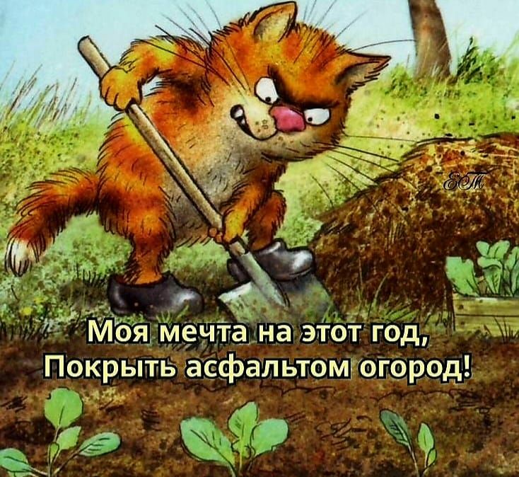 МЪя мечтё на этот год Покрыть асфальтом огород я