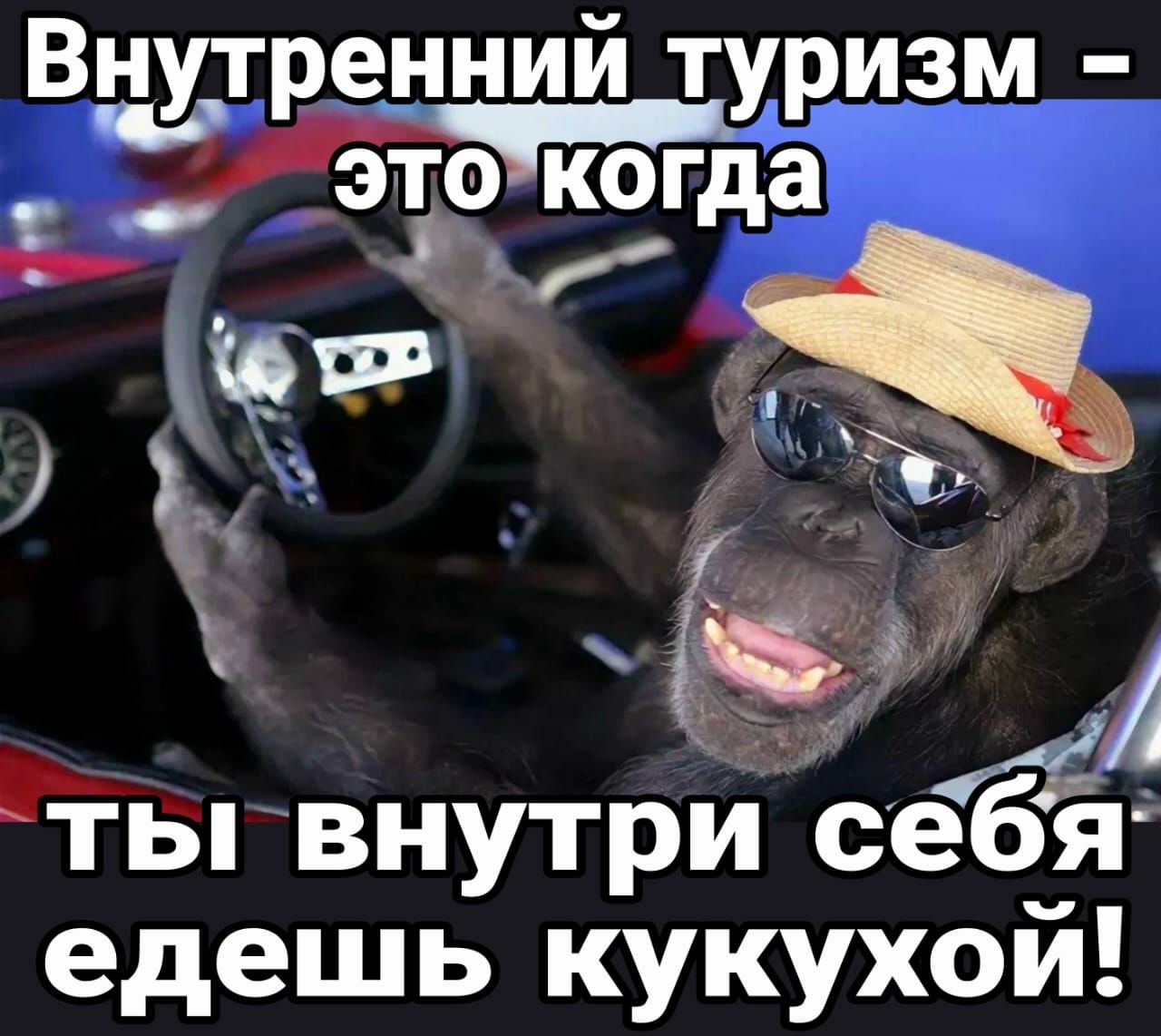 Внутренний туризм это когда _ А А ты внутри себя едешь кукухой