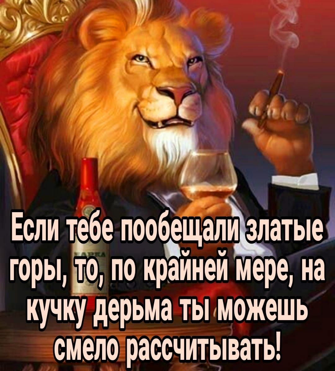 Ь Если тебе пообещалцздатыеі горы Но по краинеи мере на кучку дерьма ты можешь смело рассчитывать