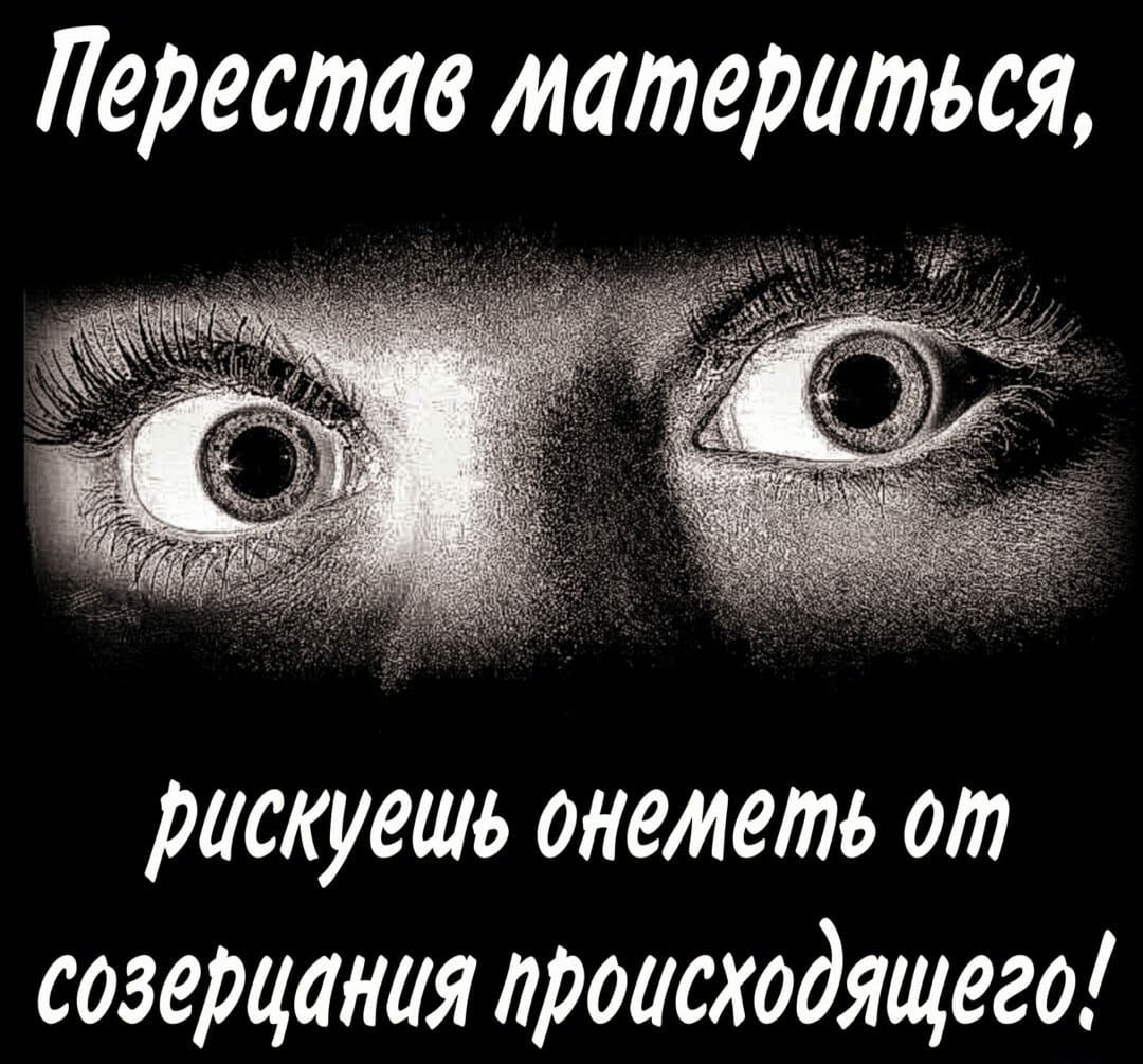 Перестав материться рискуешь онеметь от созерцания происходящего