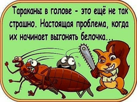 Тараканы в голове это еще нетак страшно Настоящая проблема когда их начинает выгонять белочка