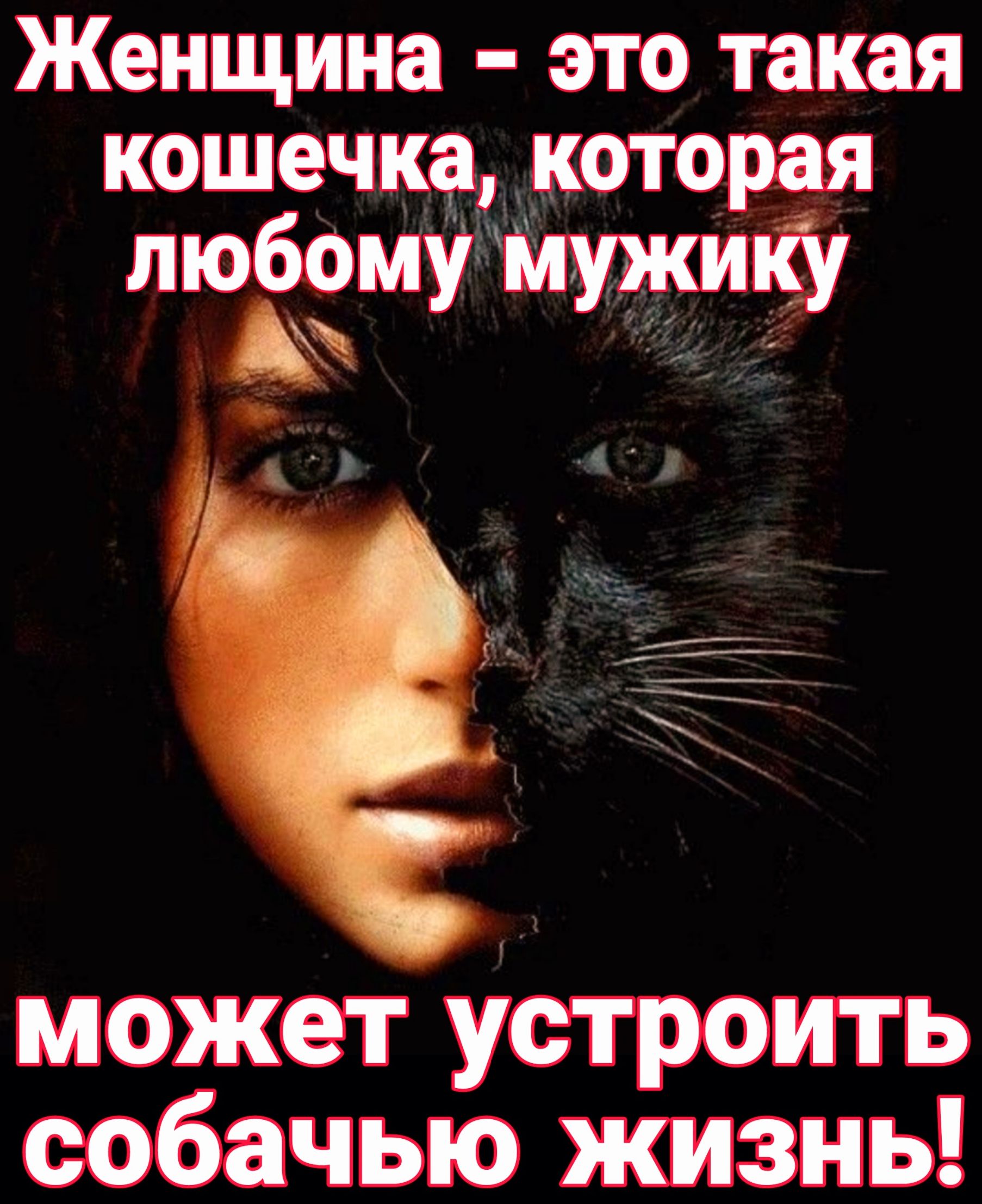 Женщина это такая кошечка которая люЁому Мужику 1 может устроить собачью жизнь