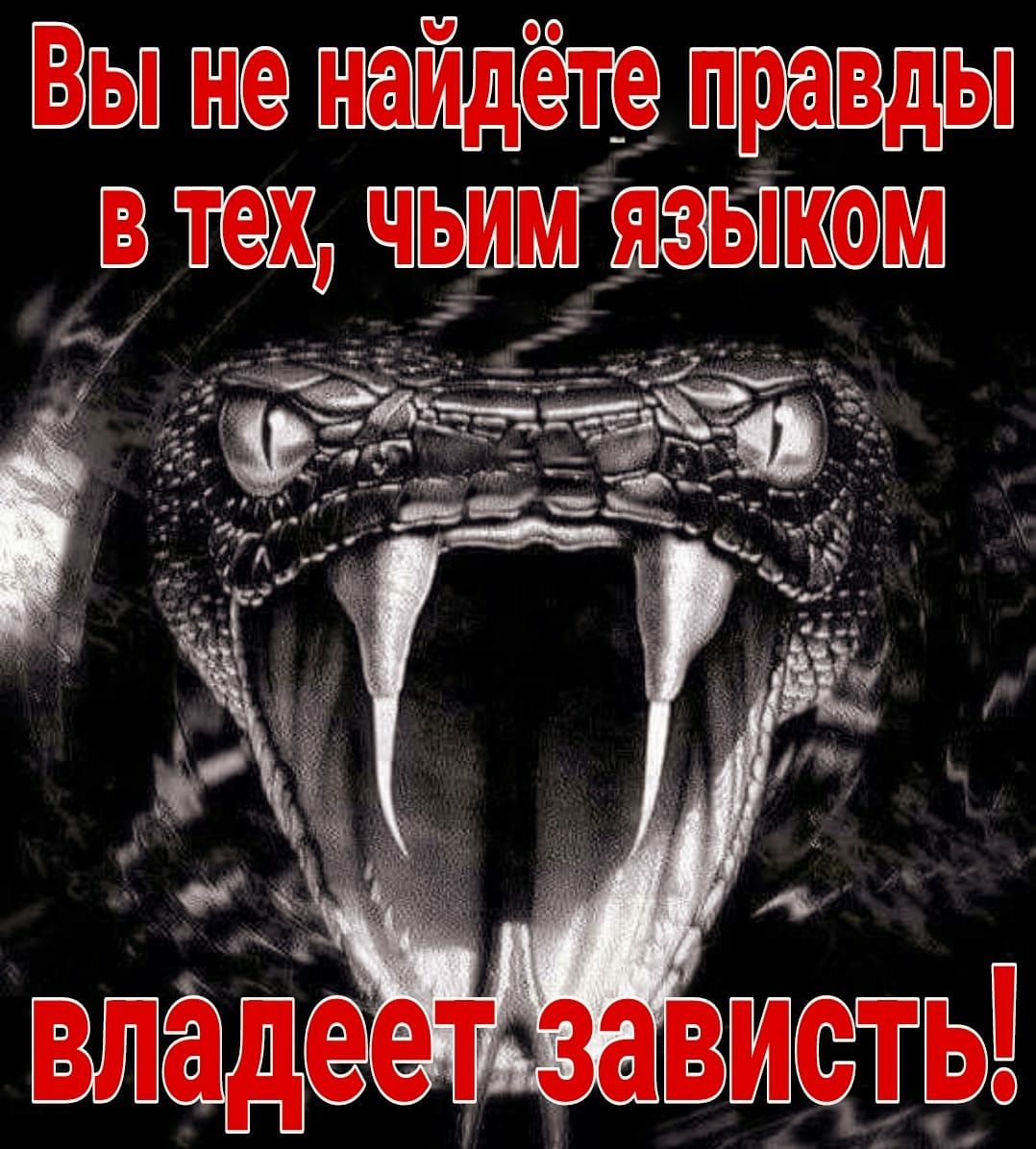 Визы писан в тех чым