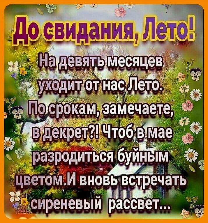 разродитьс цветбм И вно выветре 5 сиреневьі