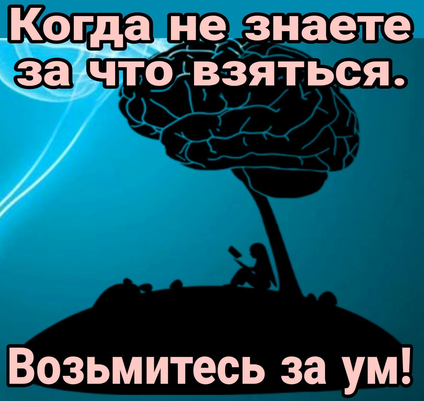 Когда не знаете заиЁчЬто вЗяться Возьмитесь за ум