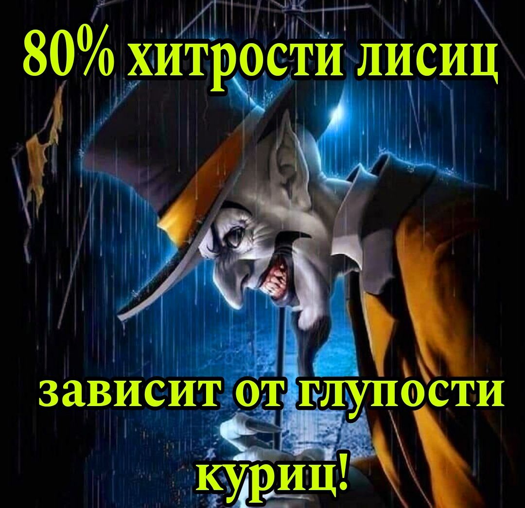 80 х Ам ЁГГ ИТРОСТИЩИСИЦ С