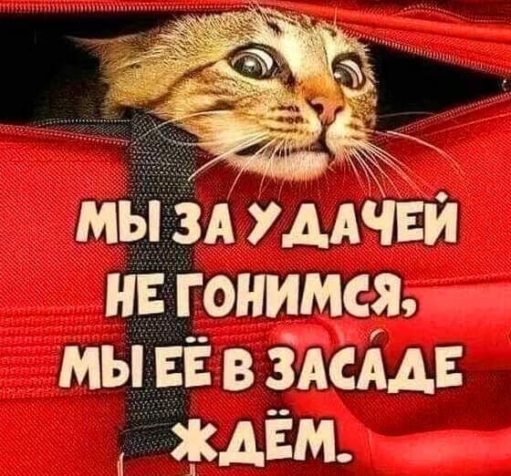 мы зА мАчЕи нв гонимся мы ЕЁ в 3АсАА ждём