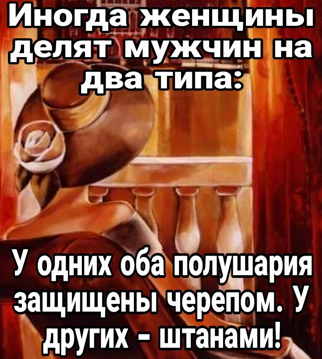 Иногда женщины делят мужчин на дд У одних оба полушария защищены черепом У других штанамиь тп